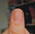 thumb%20nail.gif