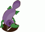 platypus.gif