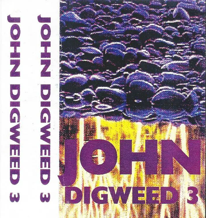 John Digweed 3 1993.jpg