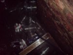 DSC01455.JPG