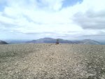 Eel Crag Hill Summit.jpg