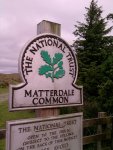 matt common.jpg
