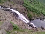 sourmilk gill.jpg