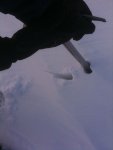 02 snow.jpg