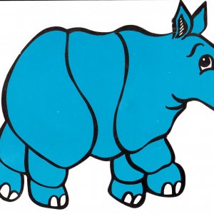 IMG (6).jpg