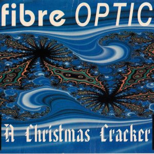 Fibre Optic 1F.jpg