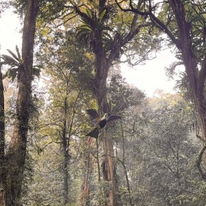 Old Skool House #14 - Atop The Dorrigone Mountain Mix