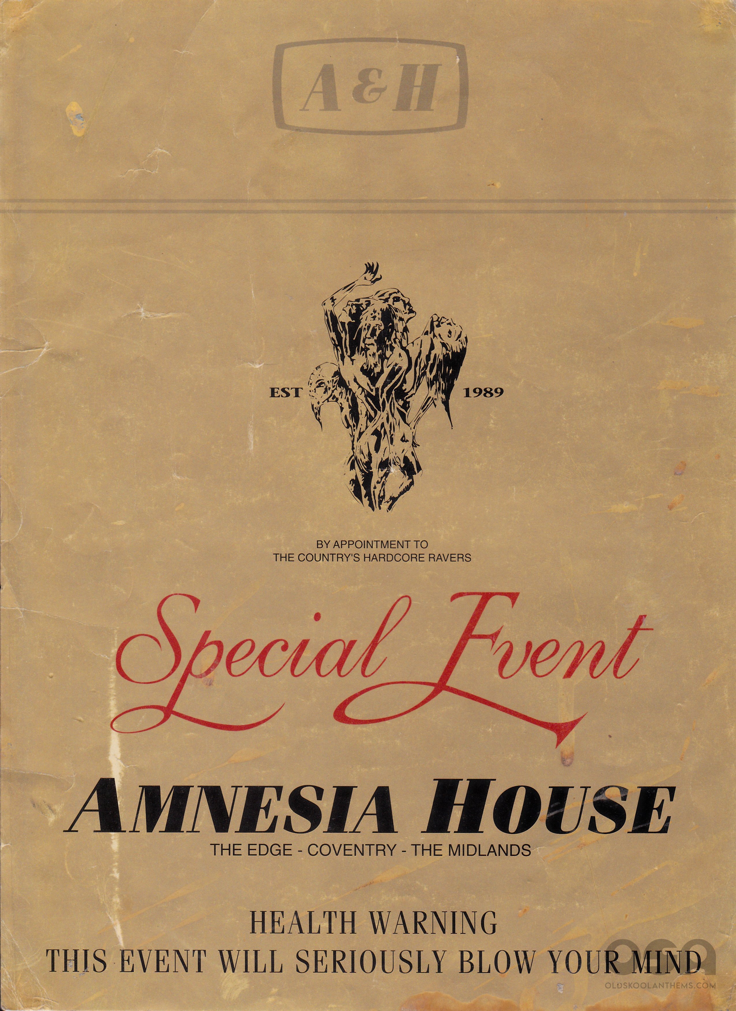 Amnesia House 11a.jpg