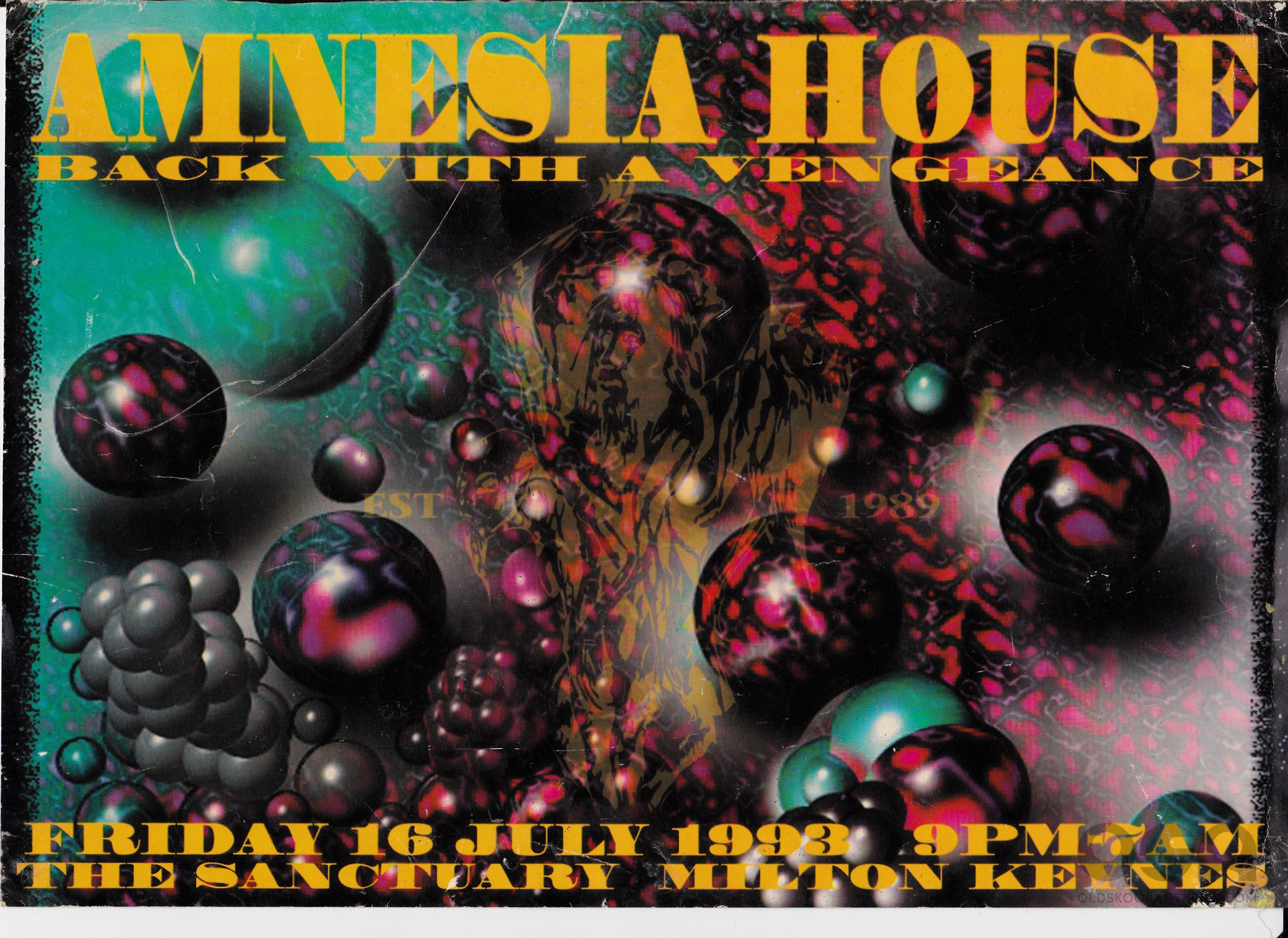Amnesia House 13a.jpg