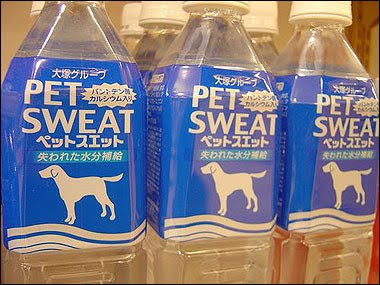 Pet-sweat-water_511001a.jpg